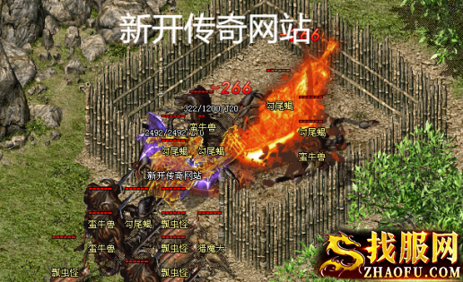 新开传奇网站