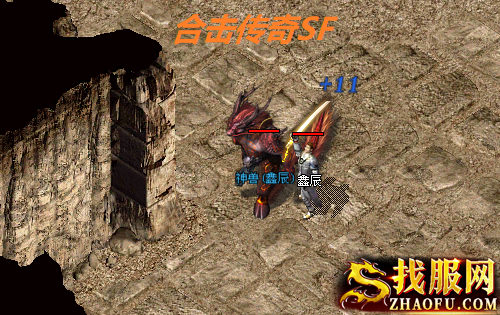 合击传奇SF：道士获取原始仙兽后怎么分配点数？
